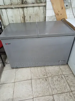 Premier Exzel Freezer ( 500l Silver)