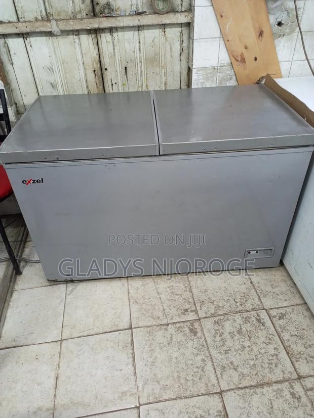 Premier Exzel Freezer ( 500l Silver) - thumbnail 3