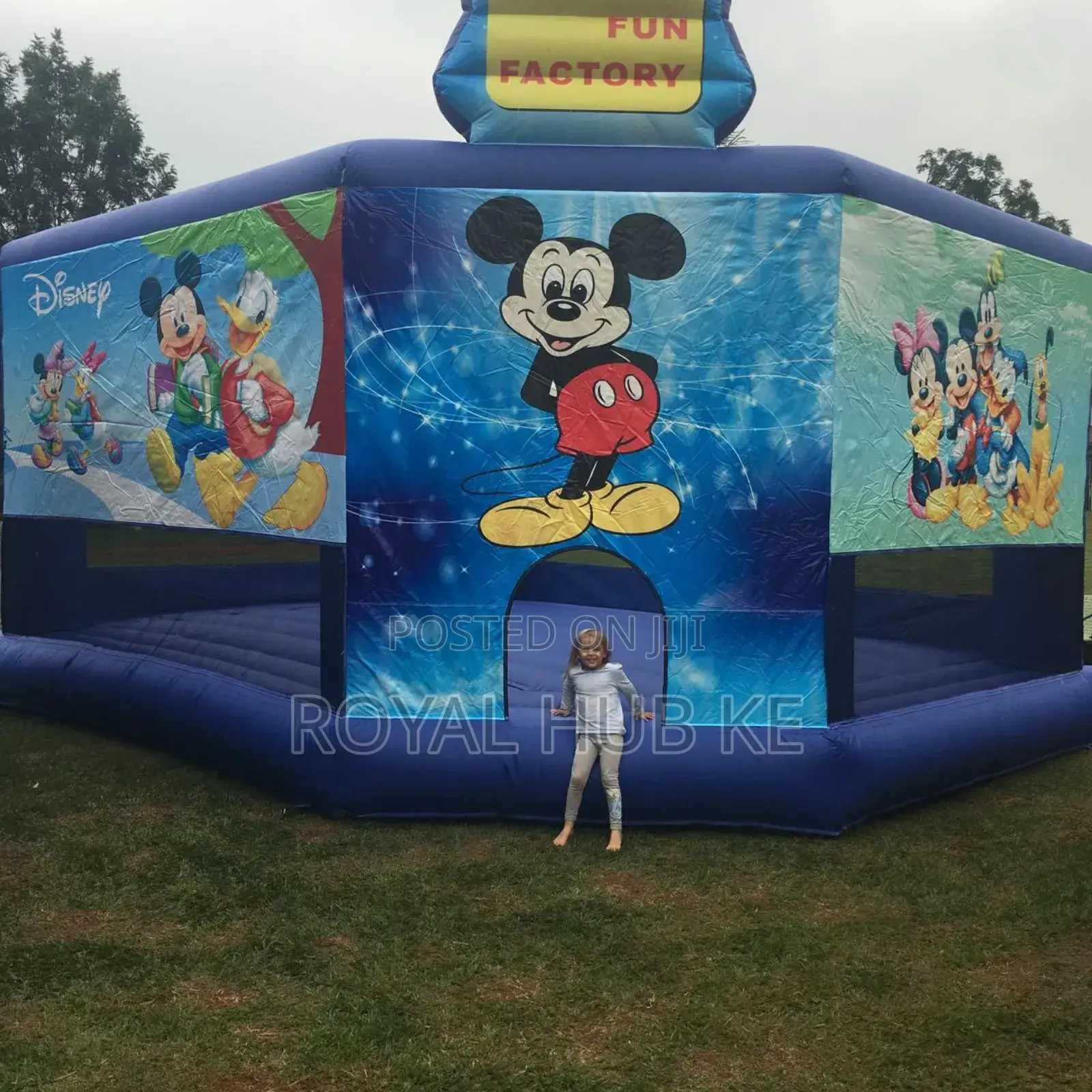 Cartoon Themes Bouncy House