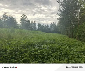 Nyeri/Kimathi Quota Acre