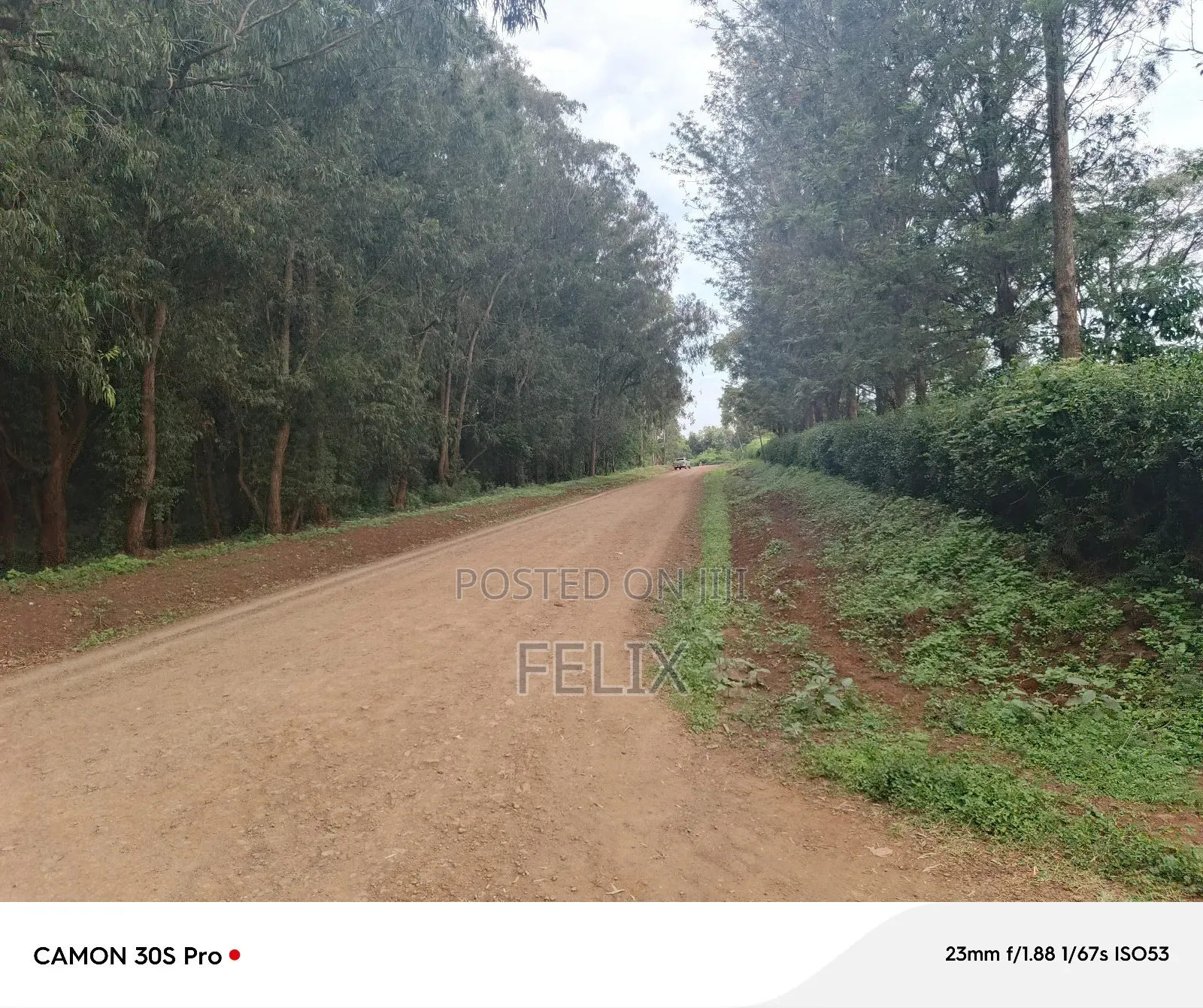 Nyeri/Kimathi Quota Acre