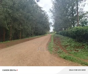 Nyeri/Kimathi Quota Acre