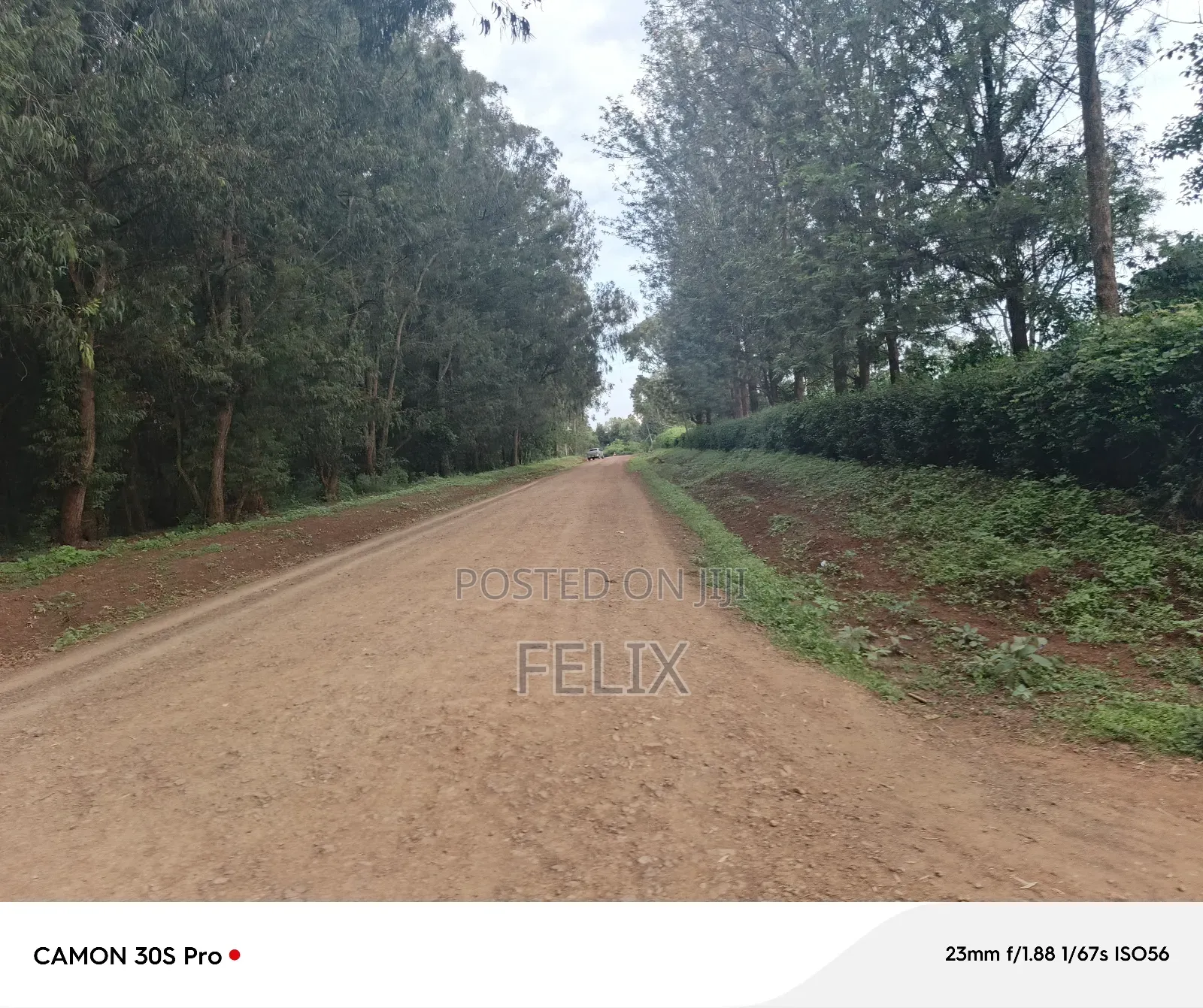 Nyeri/Kimathi Quota Acre