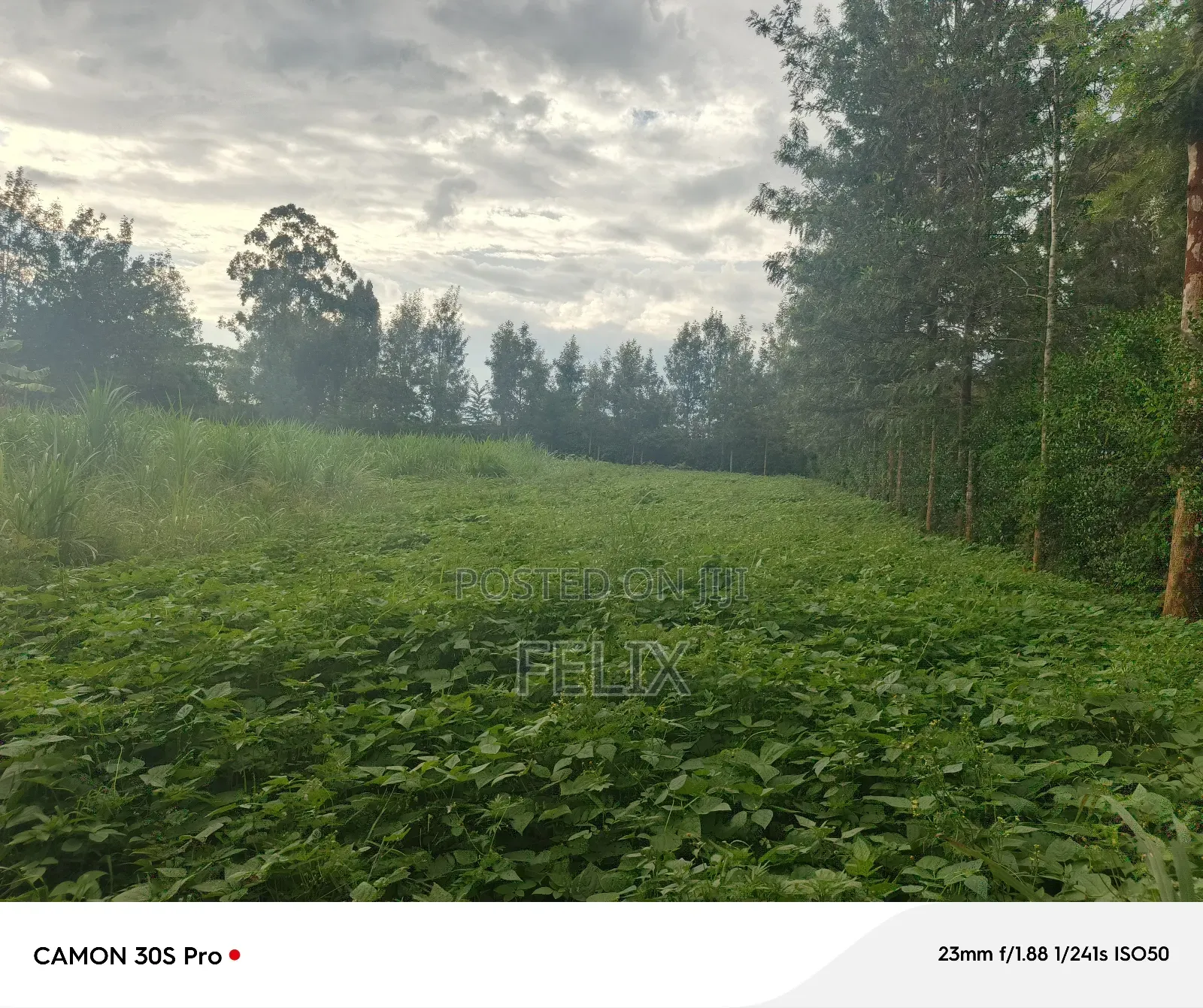 Nyeri/Kimathi Quota Acre
