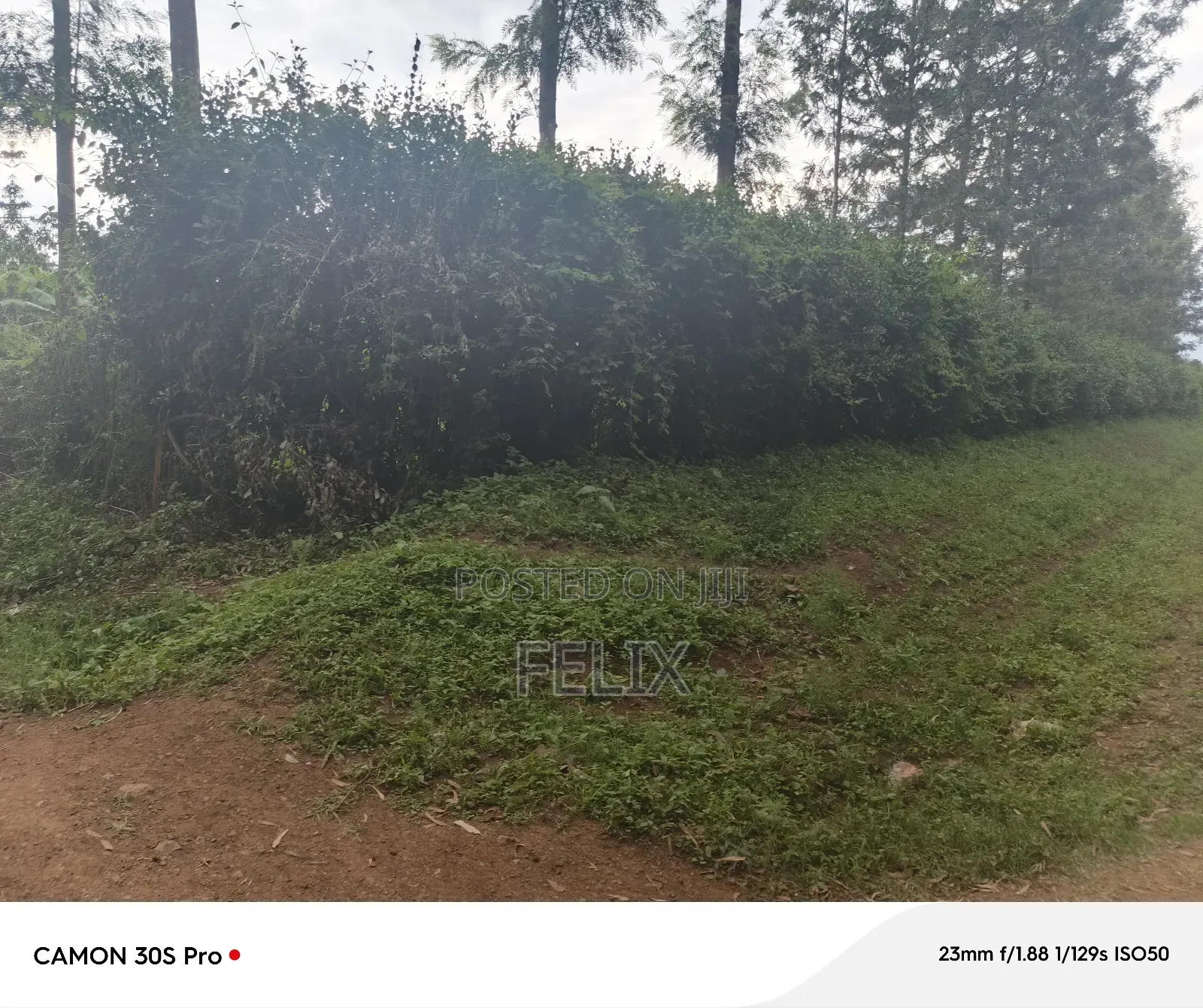 Nyeri/Kimathi Quota Acre