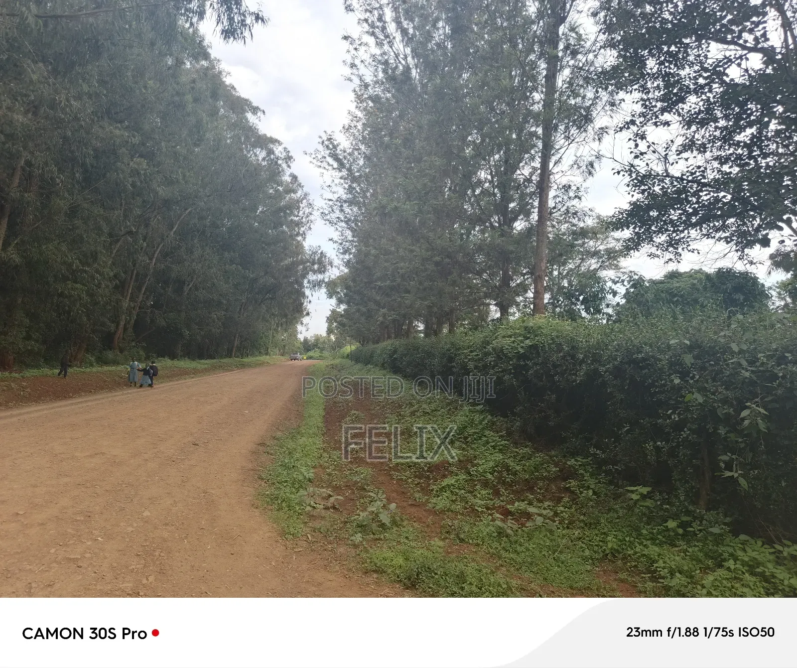 Nyeri/Kimathi Quota Acre