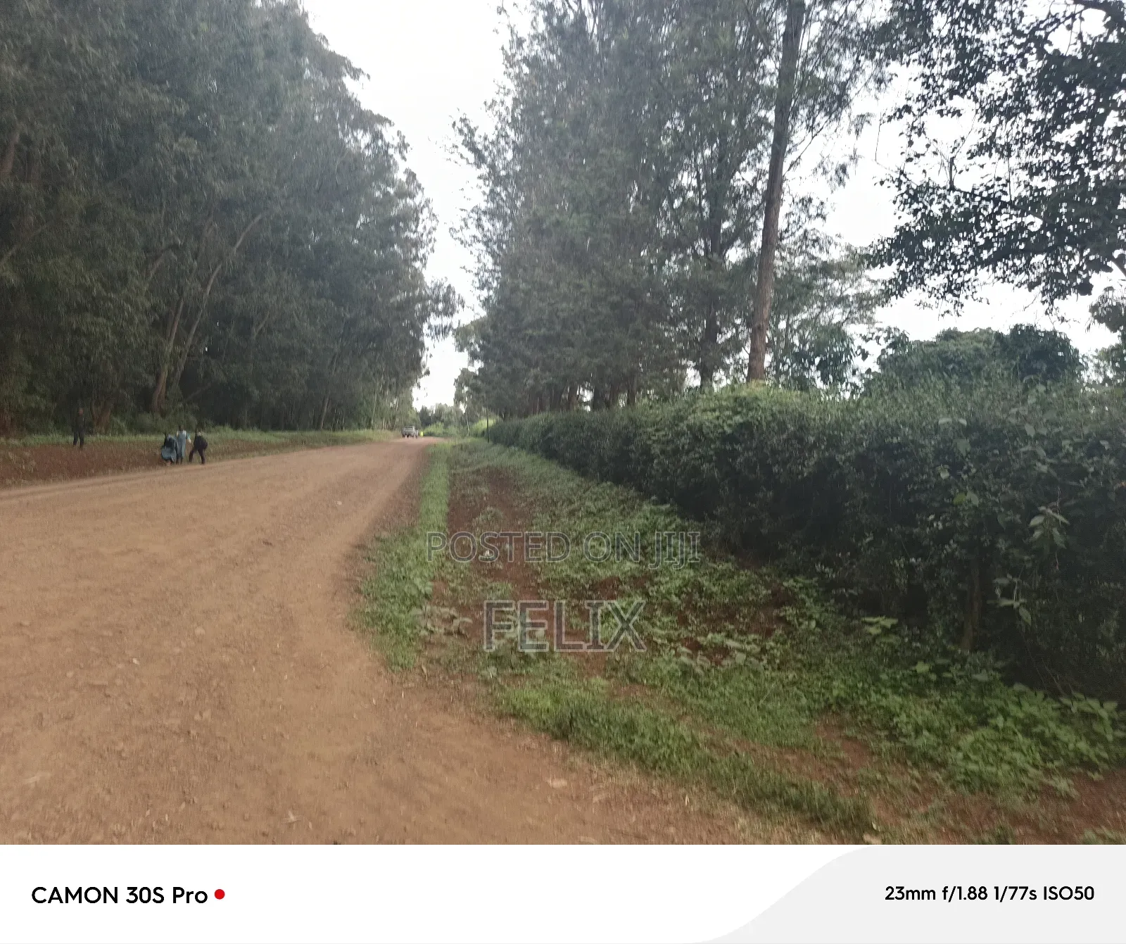 Nyeri/Kimathi Quota Acre