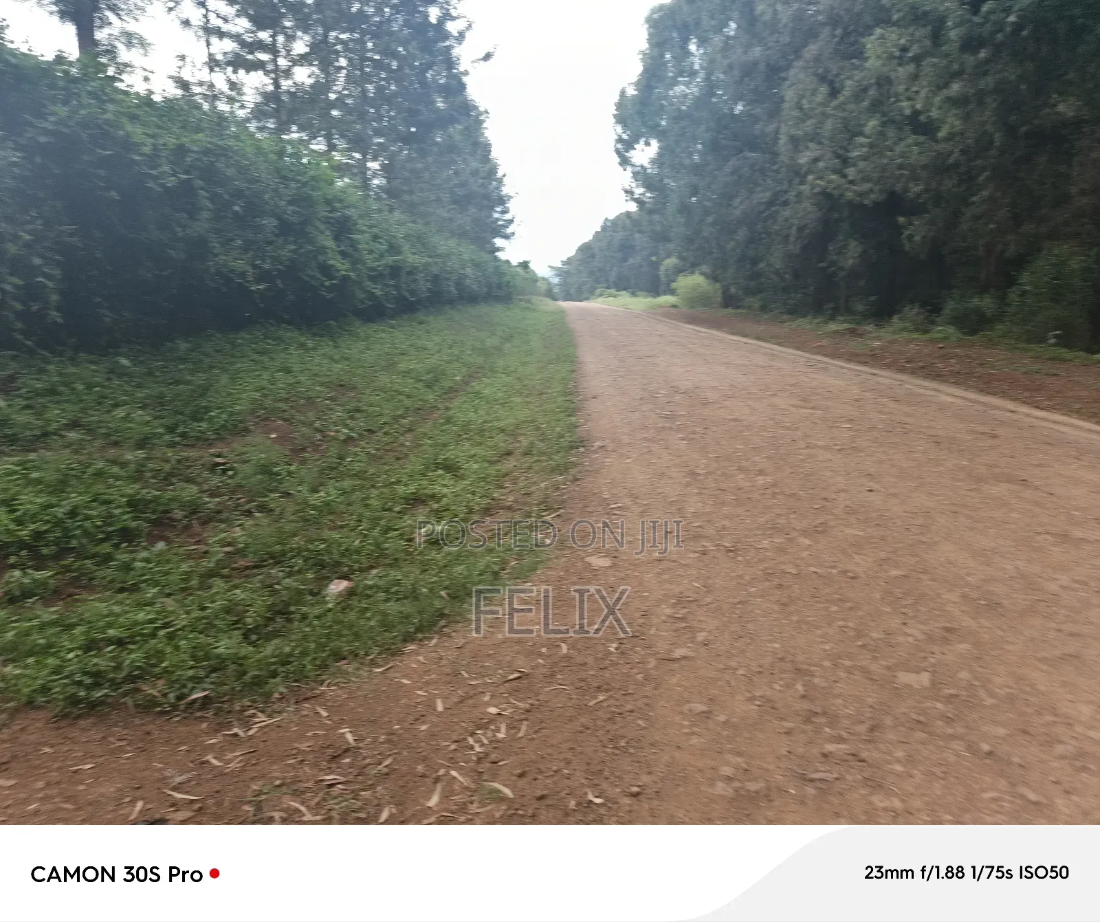 Nyeri/Kimathi Quota Acre