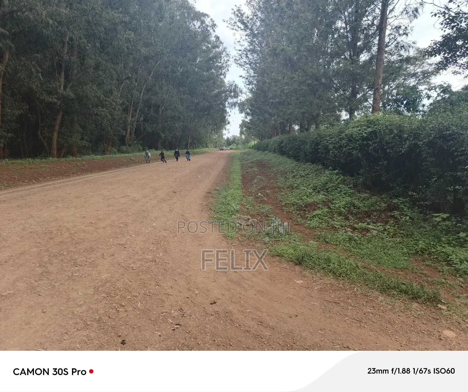 Nyeri/Kimathi Quota Acre