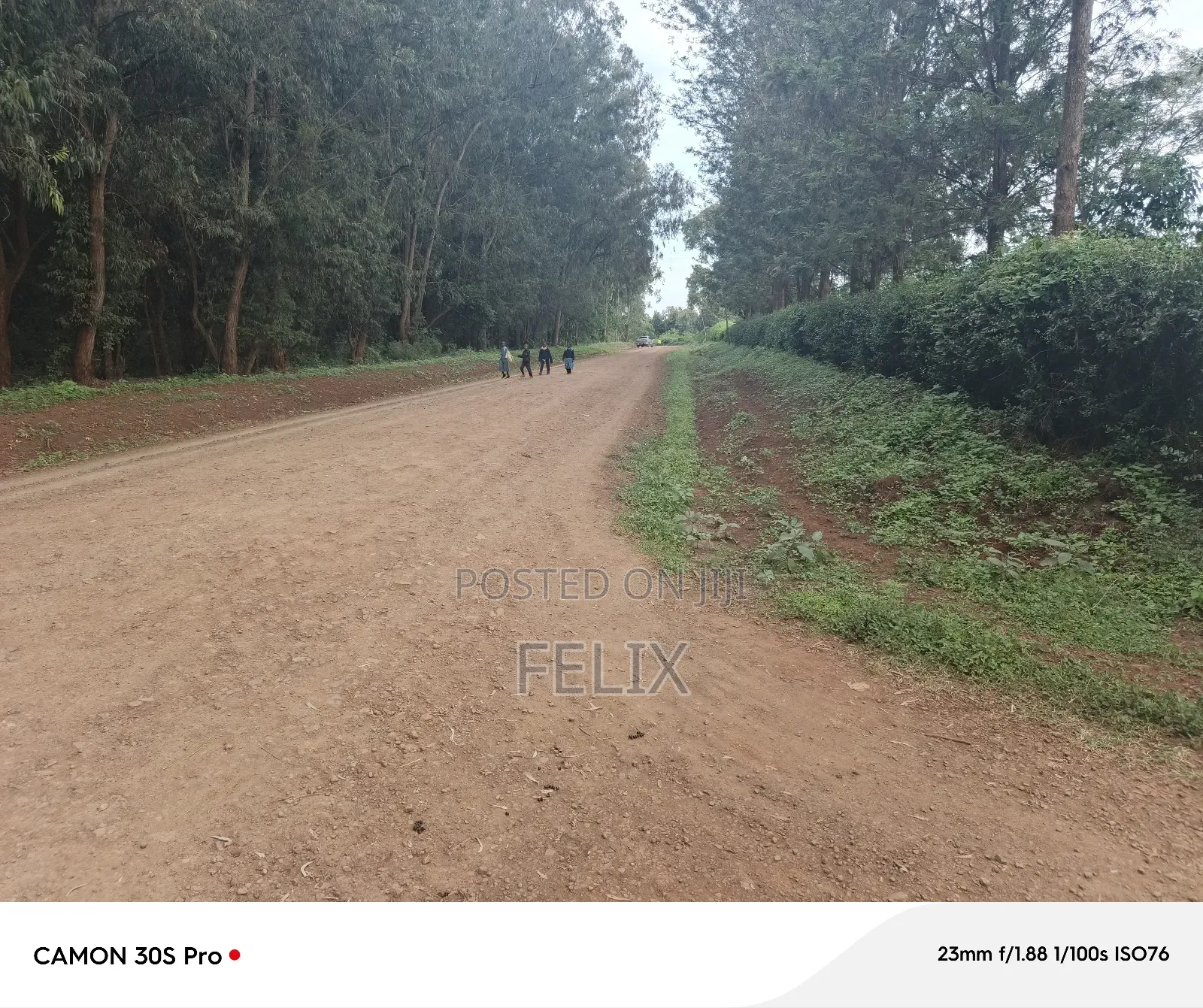 Nyeri/Kimathi Quota Acre