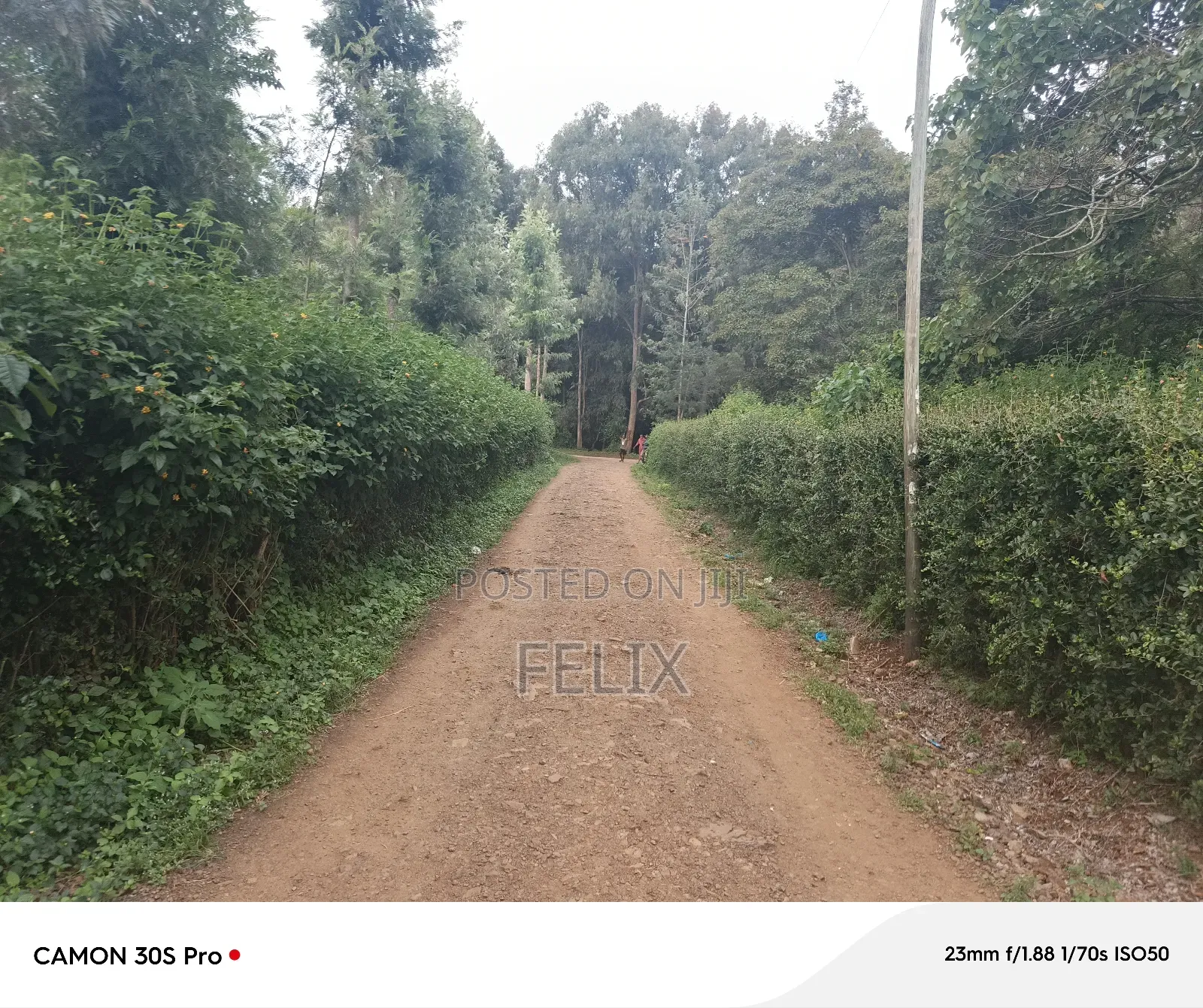 Nyeri/Kimathi Quota Acre