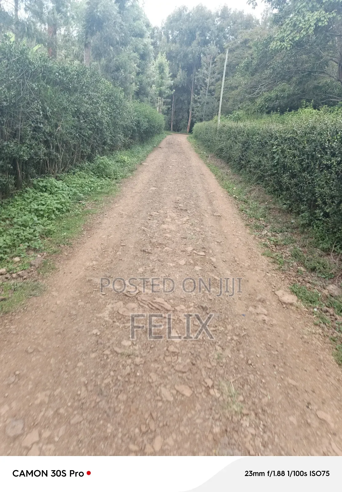 Nyeri/Kimathi Quota Acre