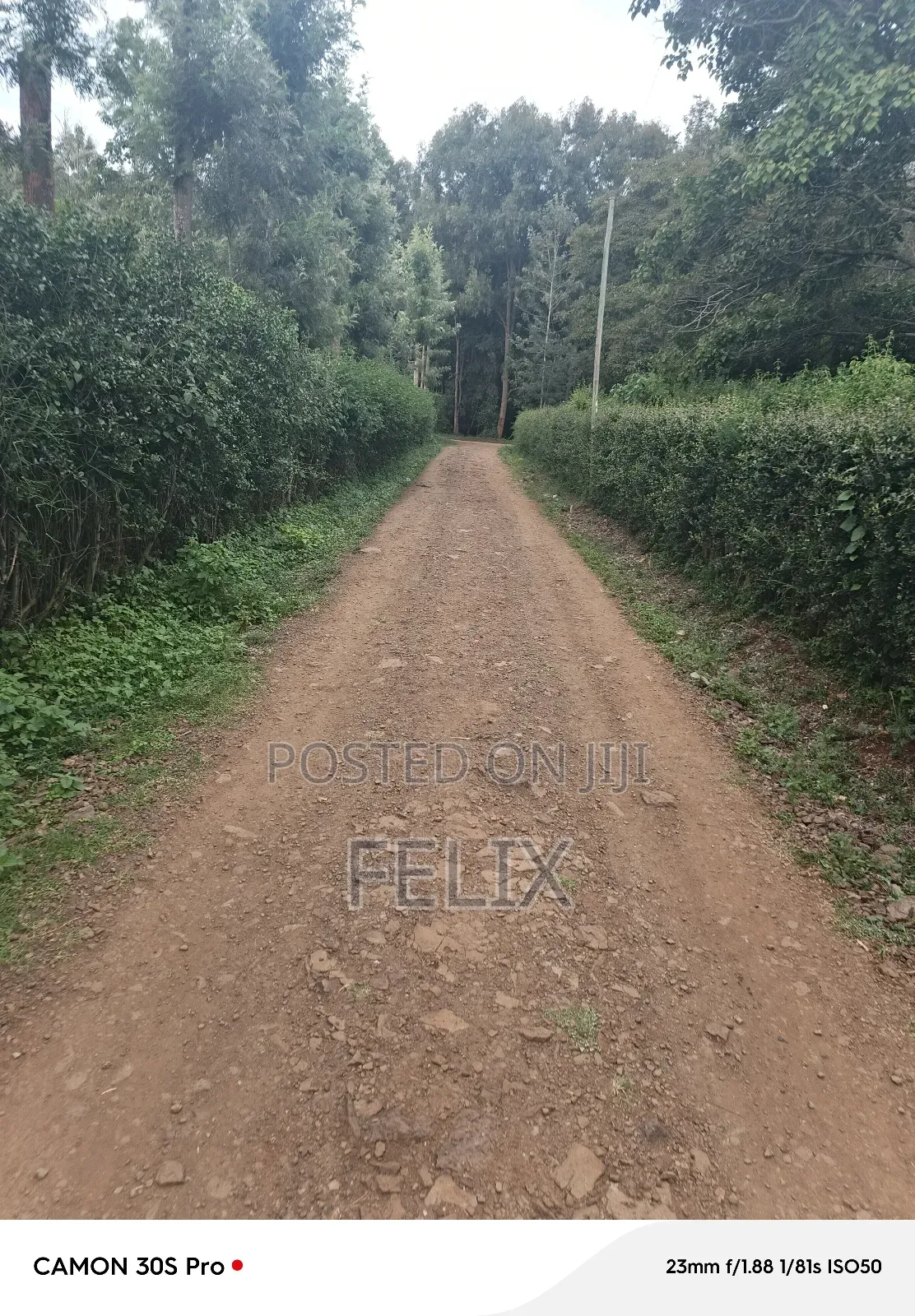 Nyeri/Kimathi Quota Acre