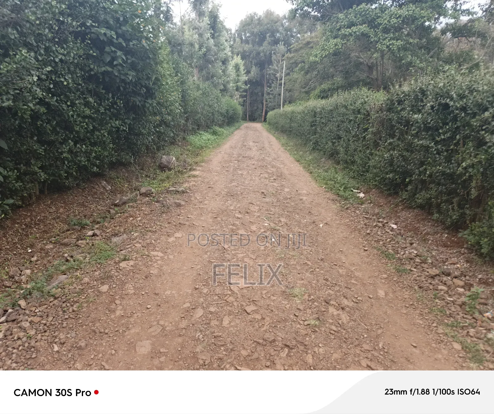 Nyeri/Kimathi Quota Acre