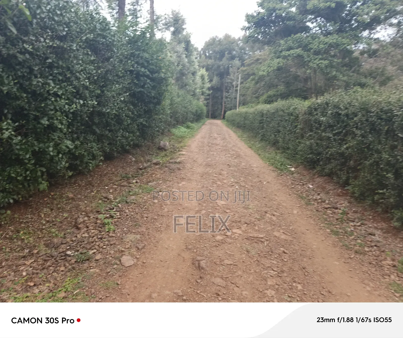 Nyeri/Kimathi Quota Acre