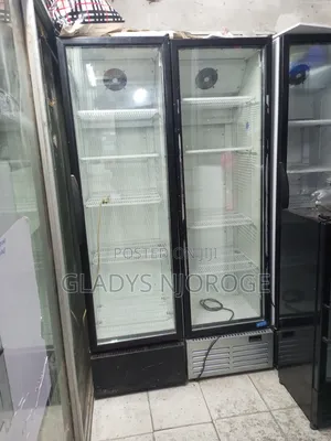 Well Maintained ( Display Fridge 500l)