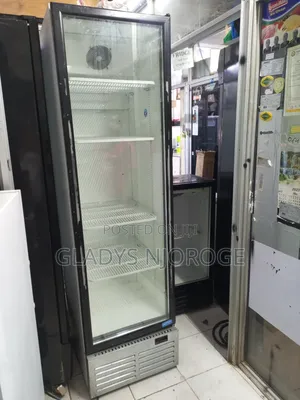 Realiable Chiller( Silver 500l)