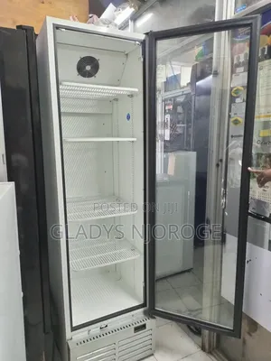 Realiable Chiller( Silver 500l)