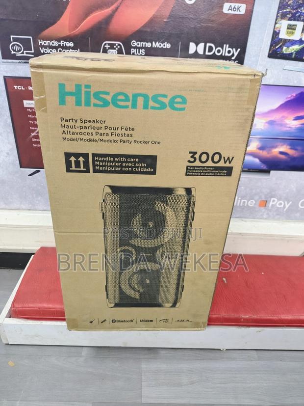 Hisense Hp100 300w Portable Party Rocker - main view