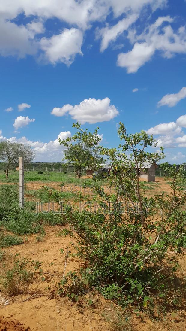 Malindi Acre Serviced Plot With Beacons and Road Access - thumbnail 2