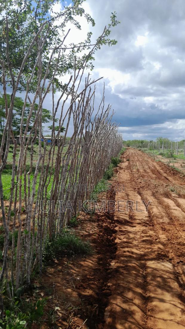 Malindi Acre Serviced Plot With Beacons and Road Access - thumbnail 3