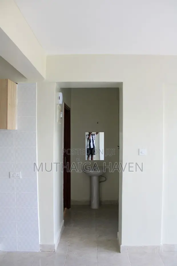 2bdrm Apartment in Muthaiga Haven, Nairobi Central for rent