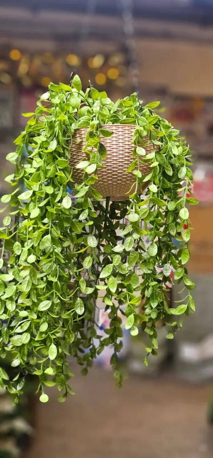 Vase Plus Vines Outdoor Decor Pieces