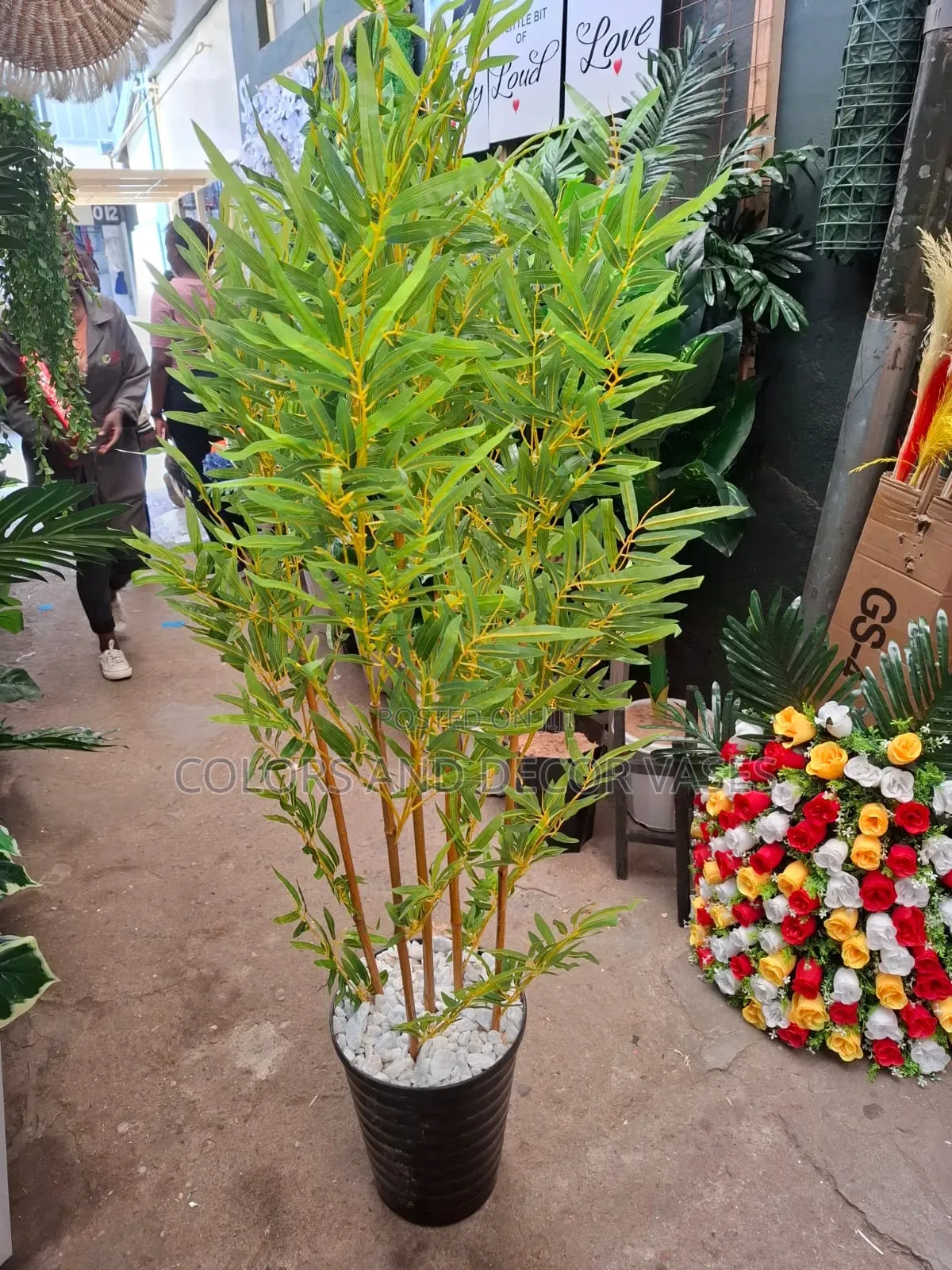 Bamboo 1.2m Long Plus Vase And Pebble Stones