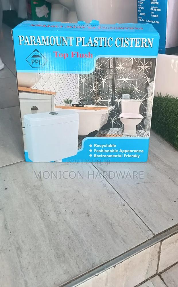 Top Flush Cistern-Paramount - main view