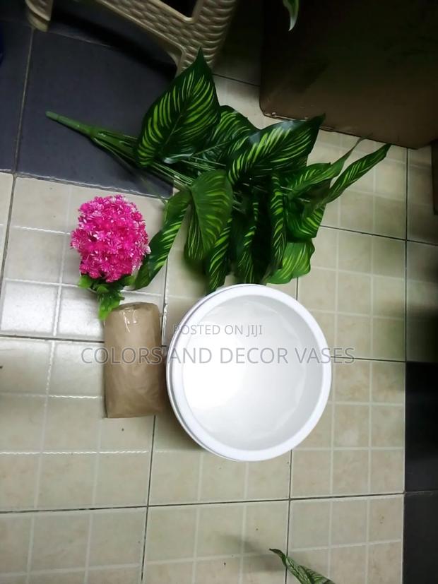 Set of Plant, Vase, Stones and Bonsai Flowers