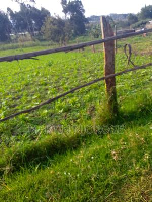 3 Acres Murungaru - thumbnail 2