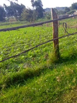 3 Acres Murungaru