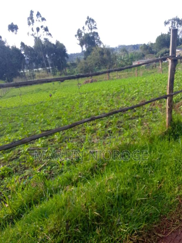 3 Acres Murungaru - thumbnail 3