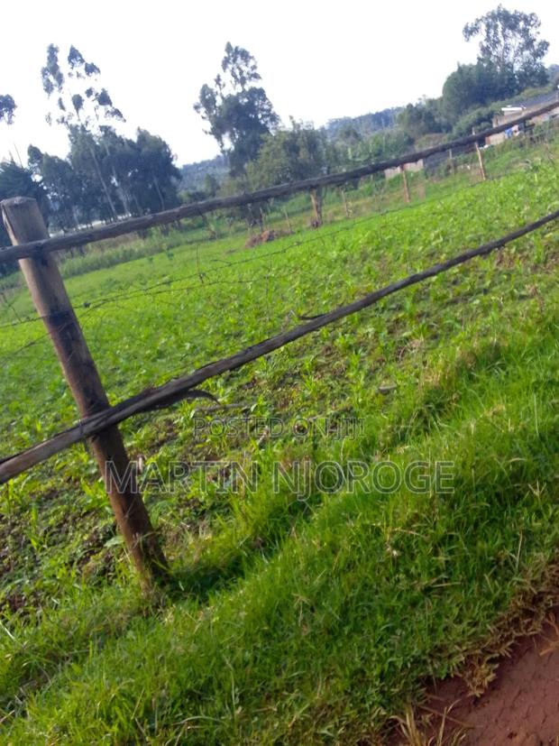 3 Acres Murungaru - thumbnail 4