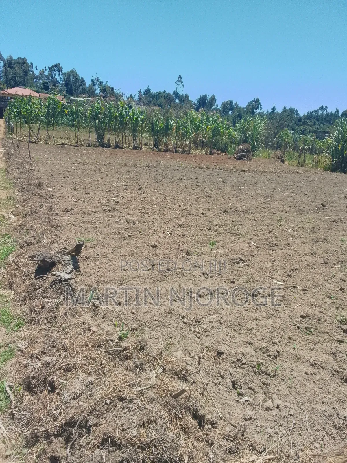 6 Acres Mwiciringiri