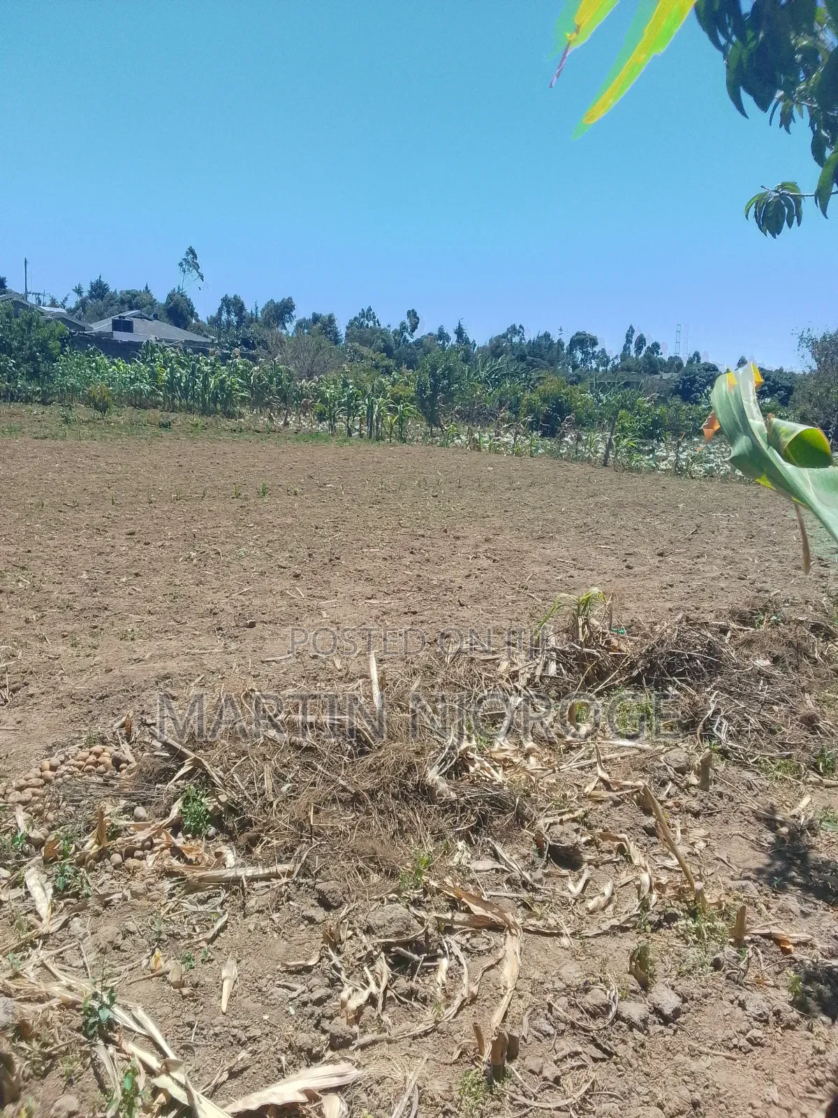 6 Acres Mwiciringiri