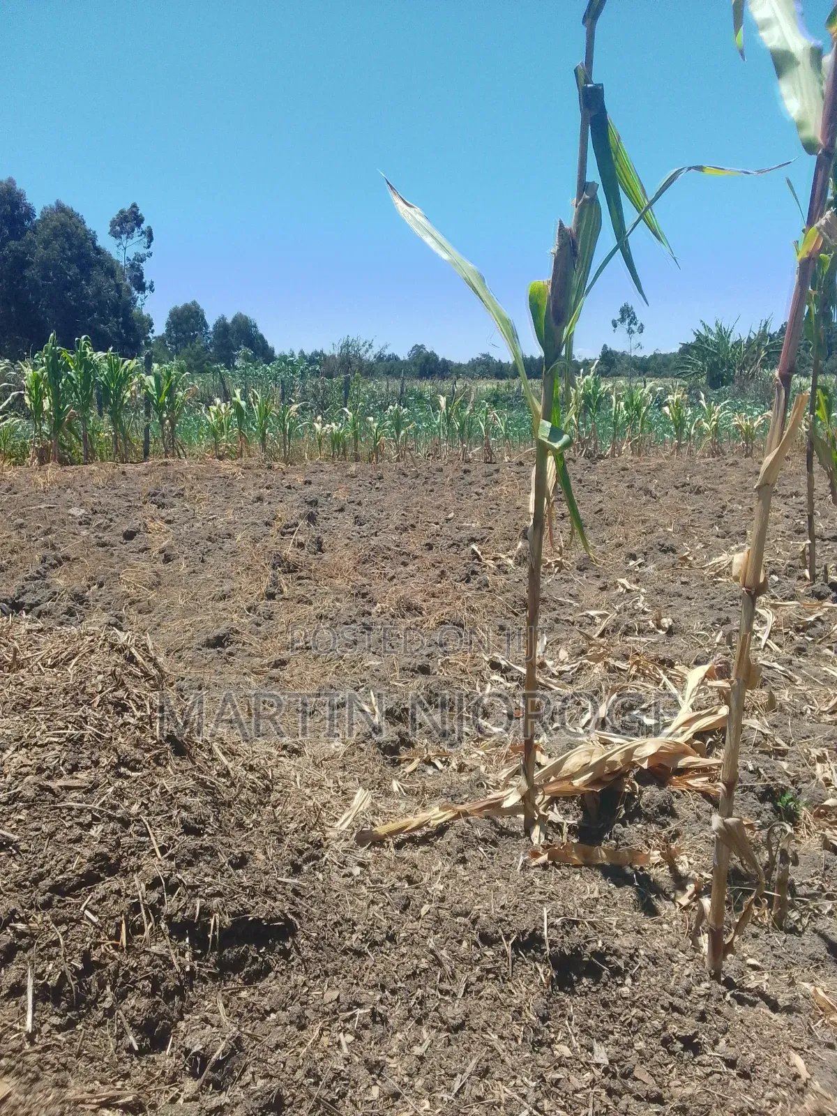 6 Acres Mwiciringiri