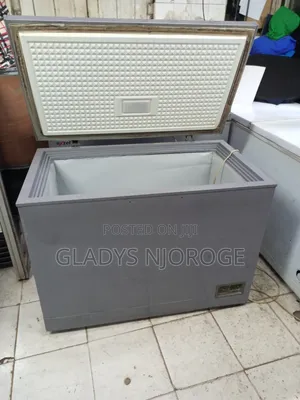 Premier Silver Deep Freezer Fridge