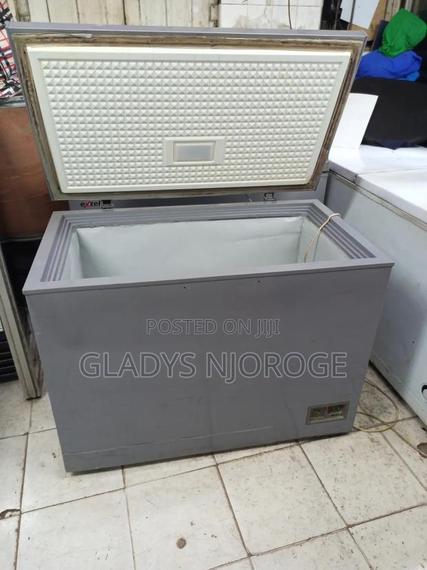 Premier Silver Deep Freezer Fridge - main view