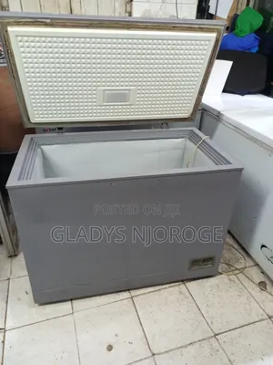 Premier Silver Deep Freezer Fridge