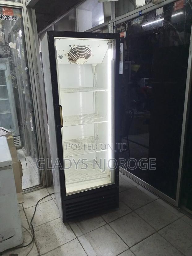 High Quality Fregorex Cooper 400l