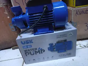Heavy Duty 0.5hp Usk Qb~60 Booster Pump