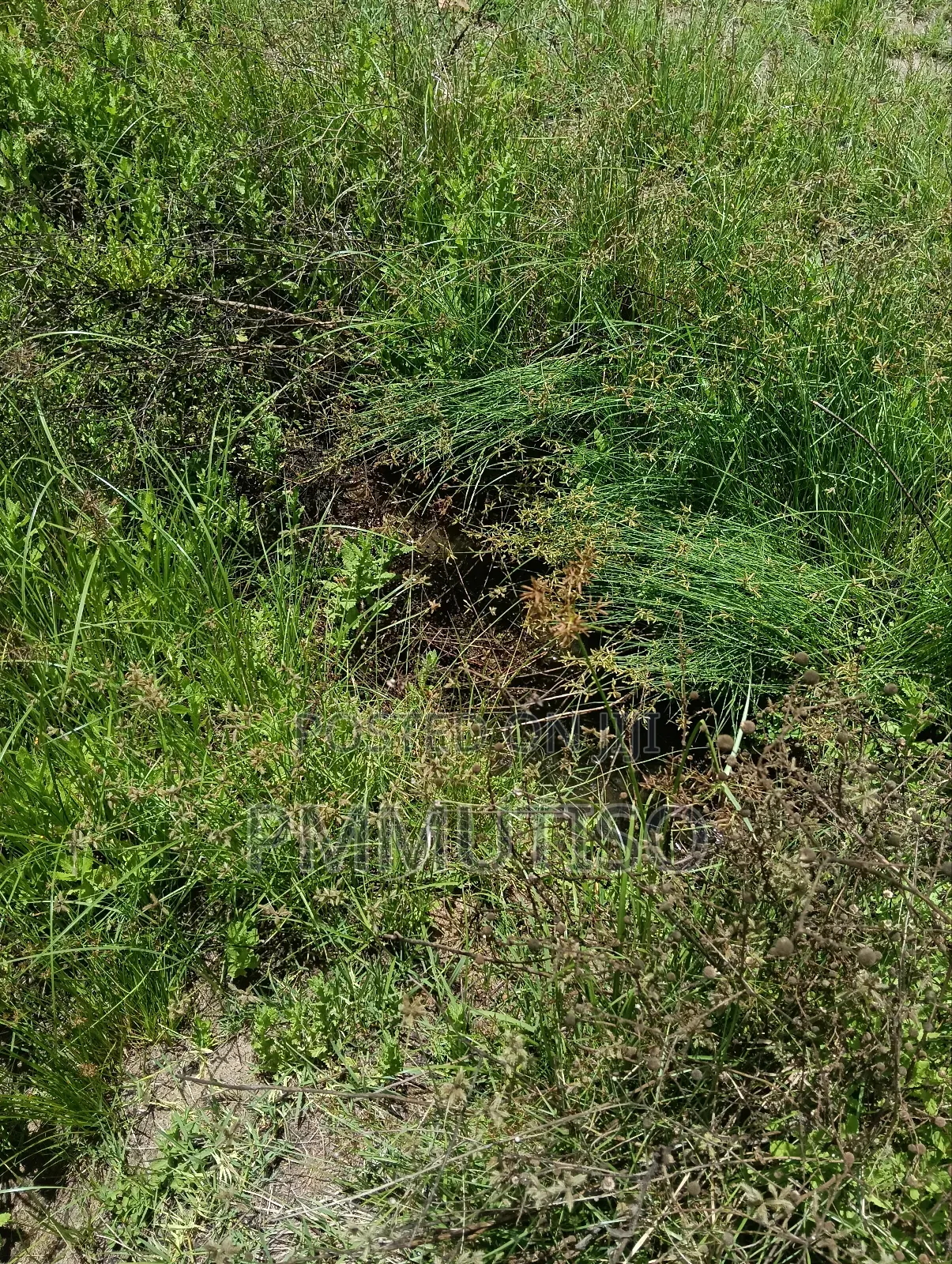 Athi River 5 Acres