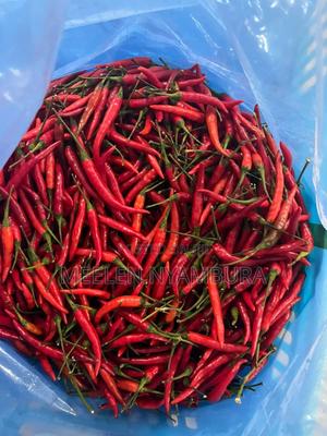 Red Chilly - main view