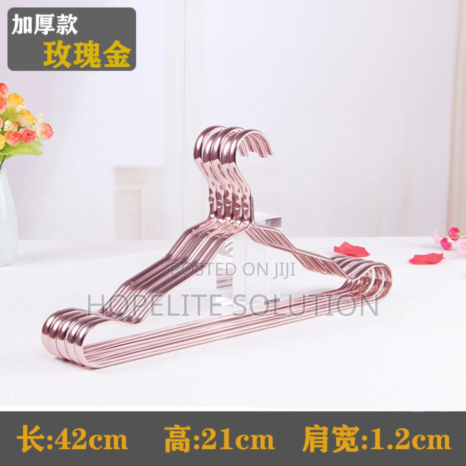 5 Pieces Plastic Cloth Hanger