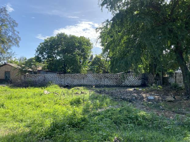 You Should - thumbnail 4