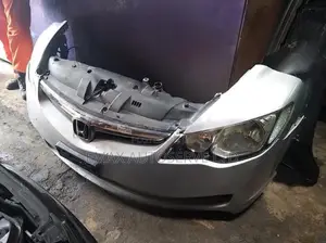 Honda Accord 2010 Nosecut