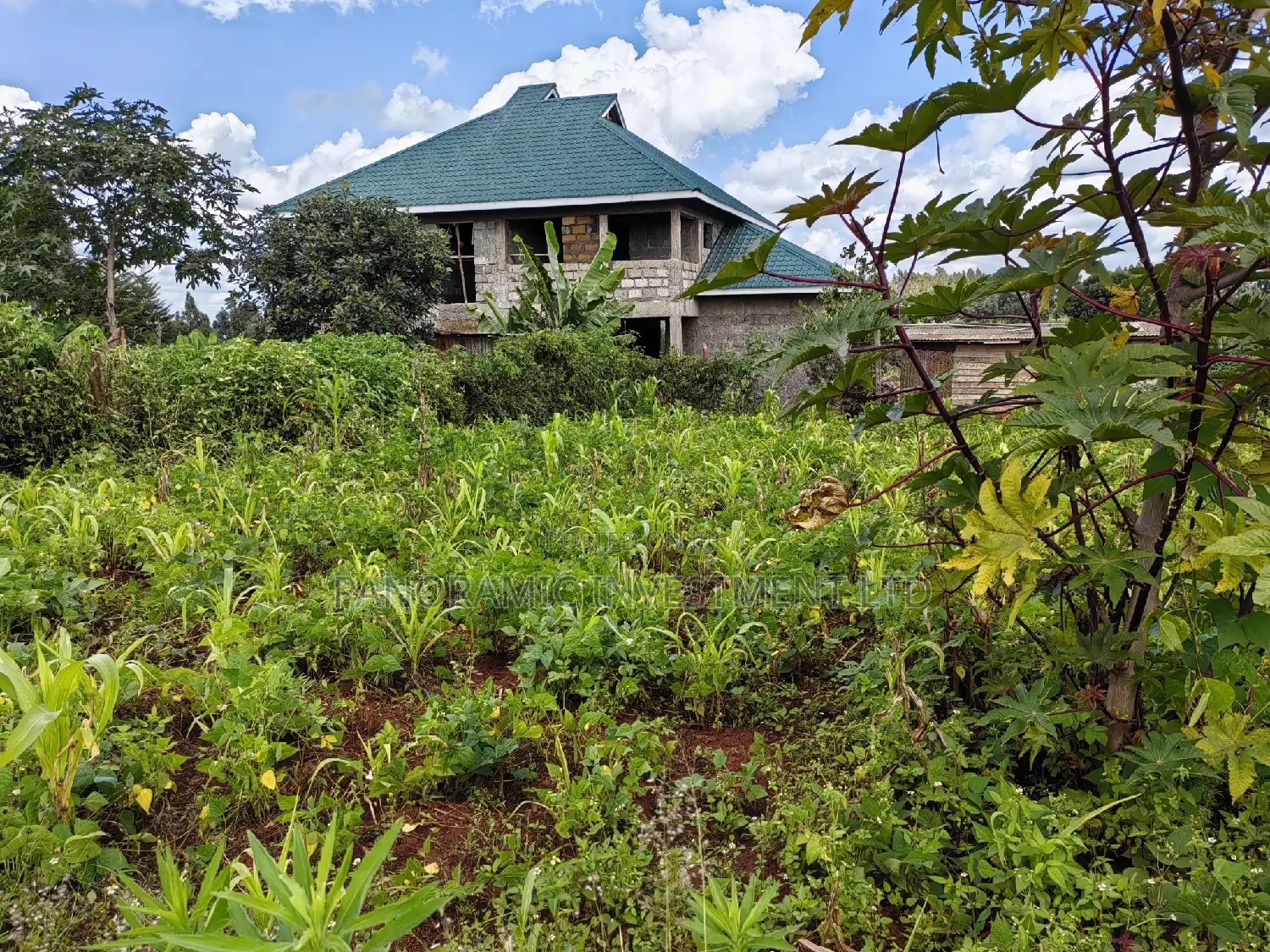 50x100 Plot for Sale in Kikuyu Kiambu County.