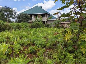 50x100 Plot for Sale in Kikuyu Kiambu County. - thumbnail 2