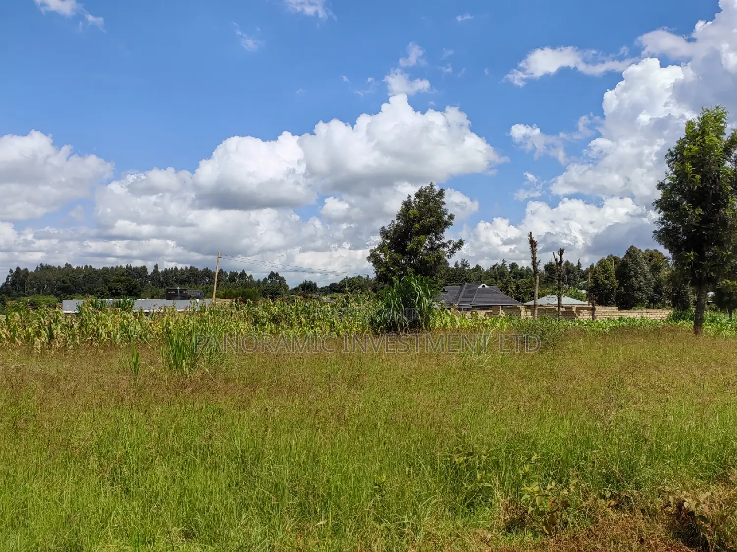 50x100 Plot for Sale in Kikuyu Kiambu County.